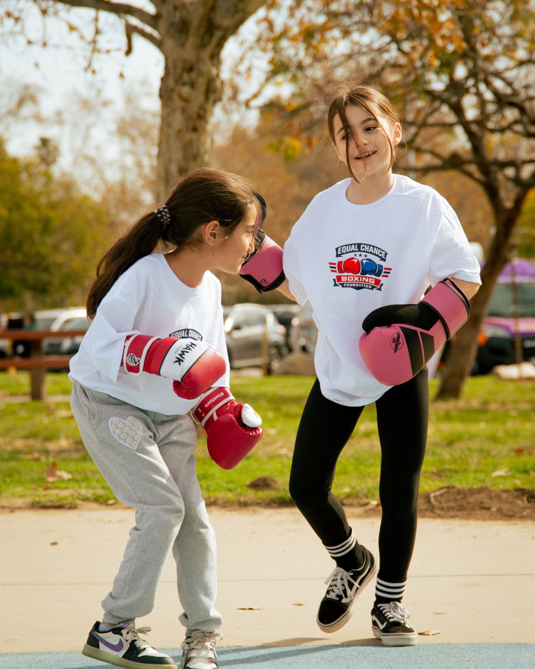 Youth Boxing Program physical activity fostering mental resilience