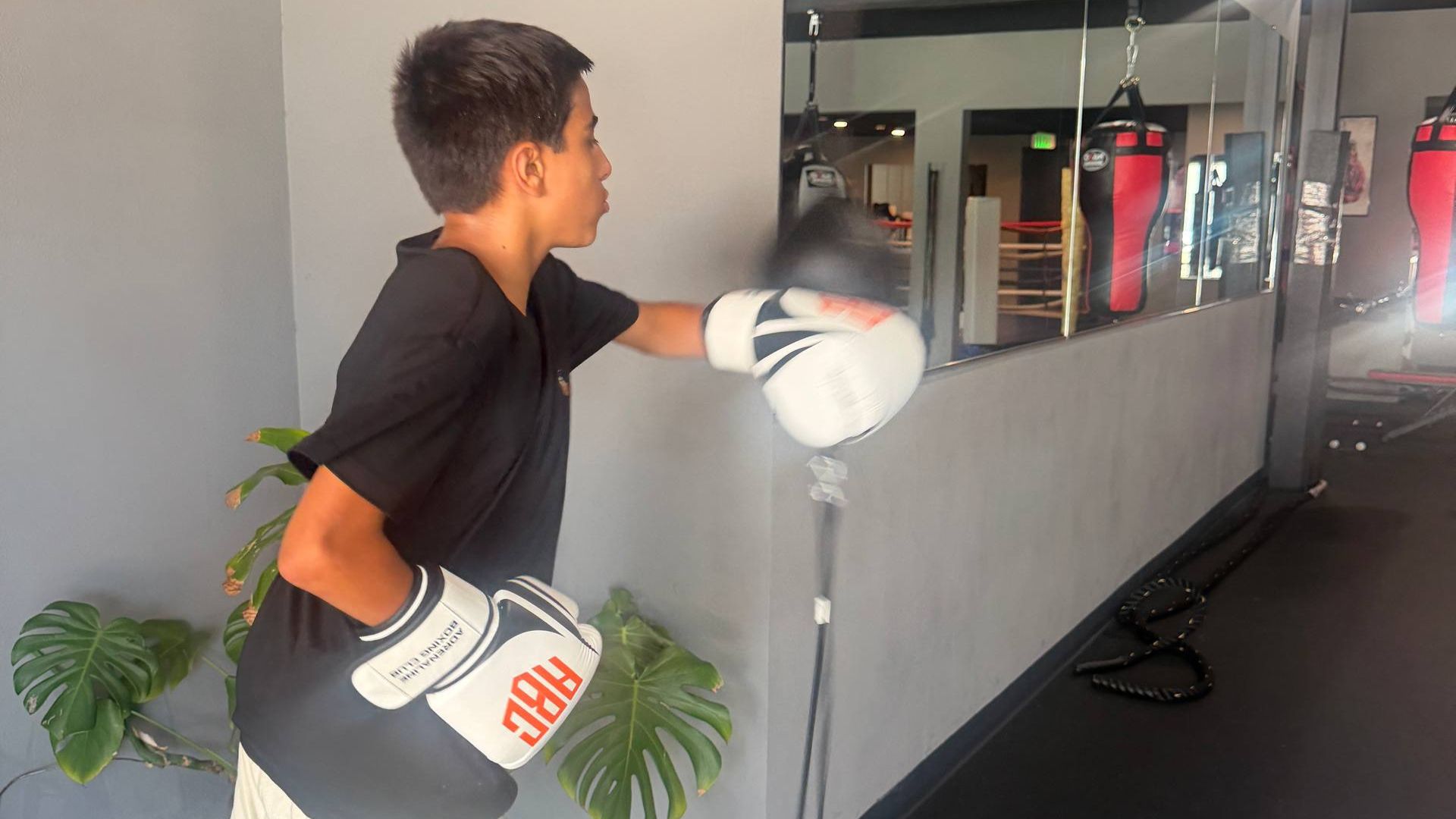 boxing mentorship